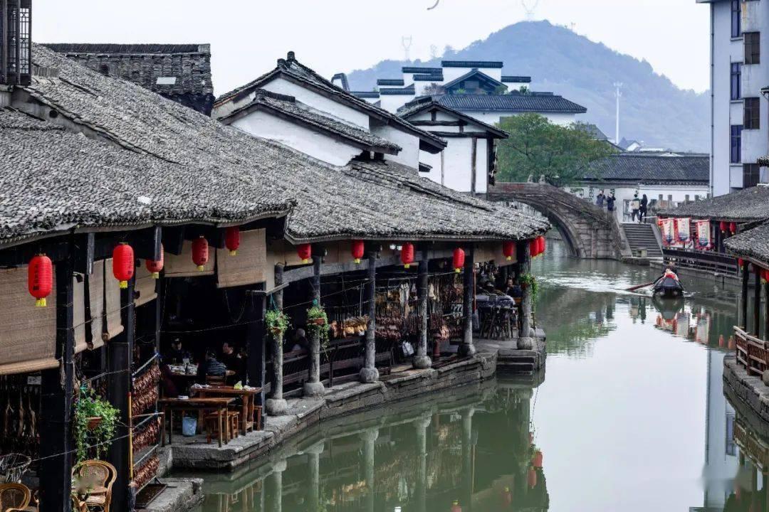 救援白色小猫